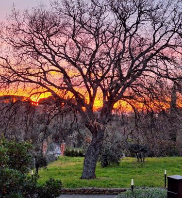 Monte Porzio Catone Cama Y Desayuno | B&B Bee