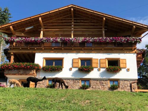 Daiano Cama Y Desayuno | B&B Belvedere