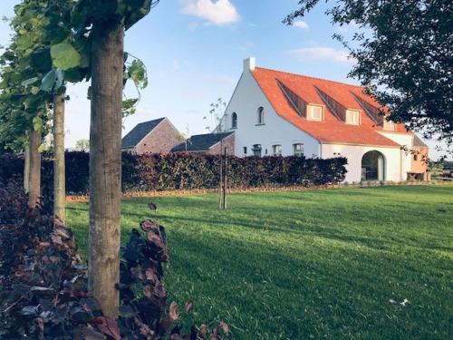 Merksplas Cama Y Desayuno | B&B Biesvenhof