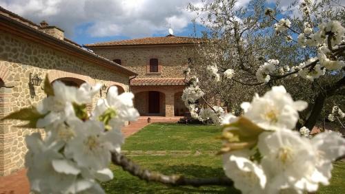 Arezzo Cama Y Desayuno | B&B Borgo del Contadino
