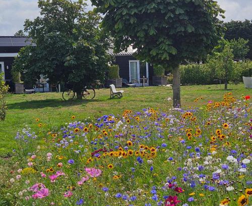 Sommelsdijk Cama Y Desayuno | B&B Buutegeweun
