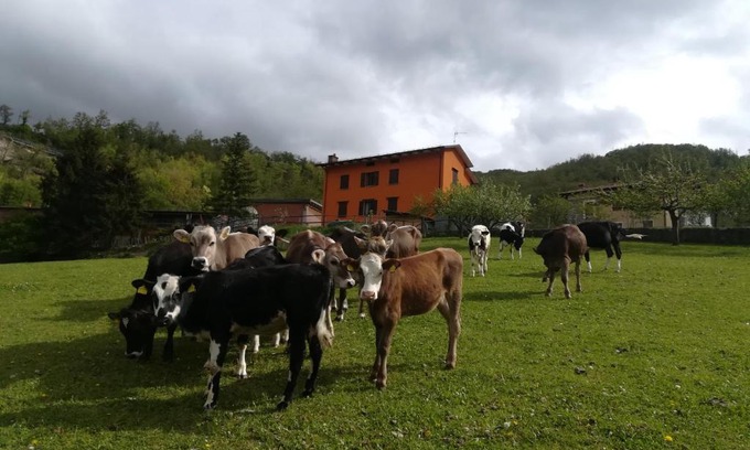 Corniglio Cama Y Desayuno | B&B Càsuperchi