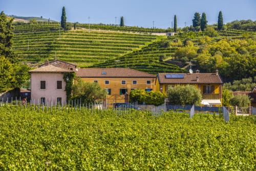 Gargagnago di Valpolicella Cama Y Desayuno | B&B Ca' Bernai