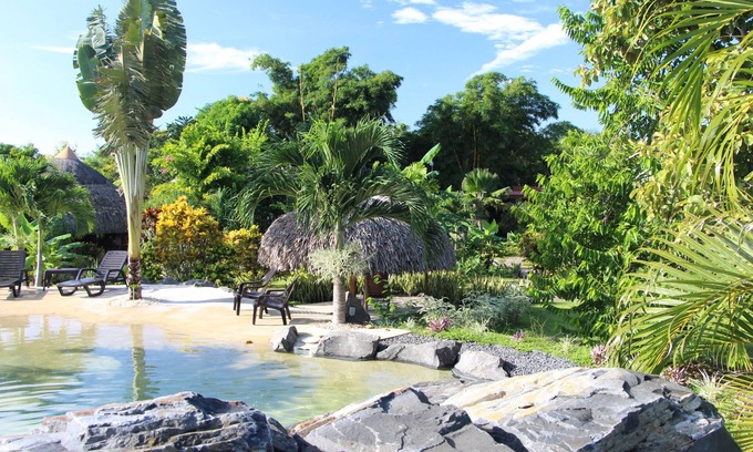 Copecito Cama Y Desayuno | B&B CABANAS LOS COLIBRIS: ¡Jardín tropical, mar y montañas cerca!