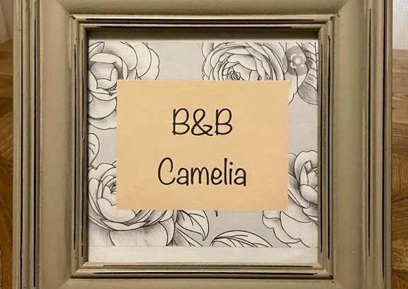 Citta di Castello Cama Y Desayuno | B&B Camelia