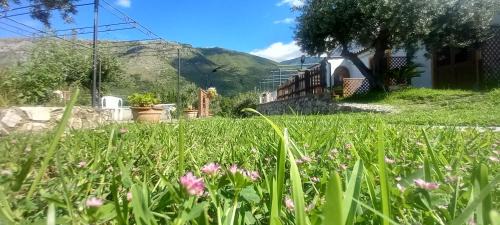 Maratea Cama Y Desayuno | B&B da Maria Teresa - Maratea