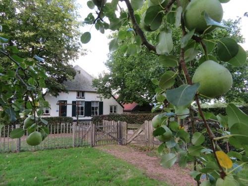 Municipality of Wageningen Cama Y Desayuno | B&B De Willemshoeve