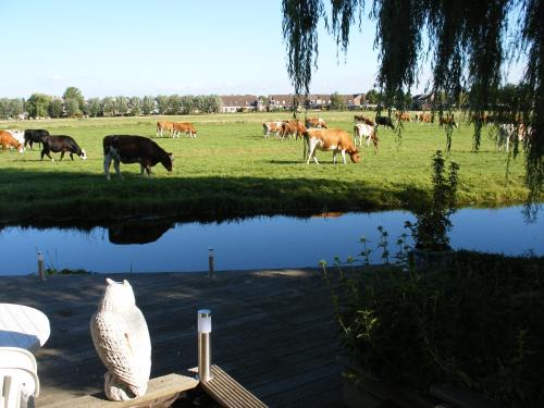 Volendam Cama Y Desayuno | B&B-Edam