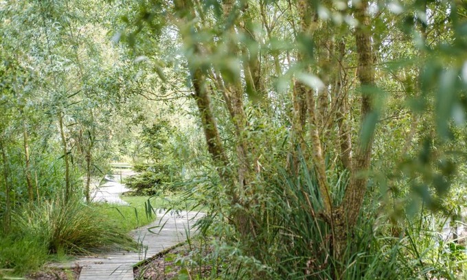 Lampernisse Cama Y Desayuno | B&B en Wellness De Kleine Bever