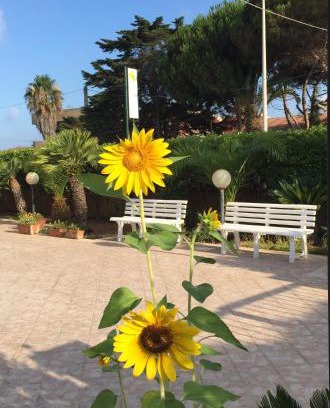 Caucana-finaiti-casuzze-finaiti Nord Cama Y Desayuno | B&B Fiori Gialli Caucana