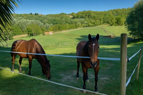 Casalborgone Cama Y Desayuno | B&B Freedoms Reins Farm