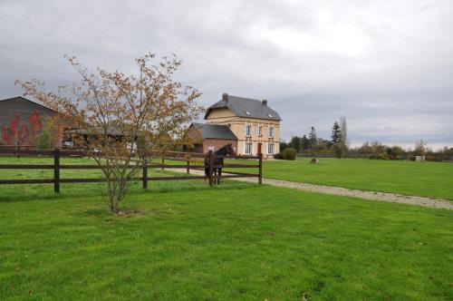 Saint-Michel-de-Livet Cama Y Desayuno | B&B Haras de la Cour Fleury