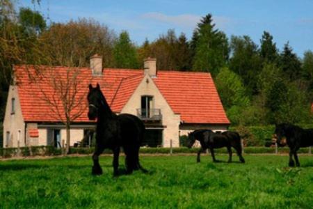 Hertsberge Cama Y Desayuno | B&B Heerlijkhyd