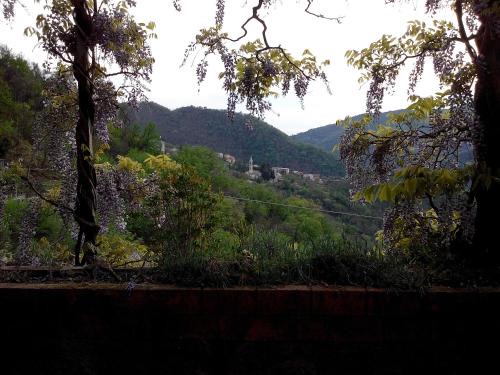 Lupara Cama Y Desayuno | B&B I Glicini