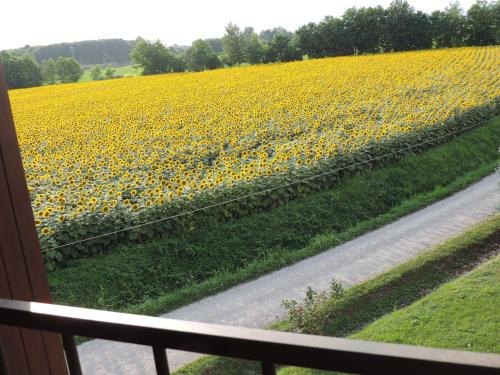 Varmo Cama Y Desayuno | B&B I Prati di Varmo