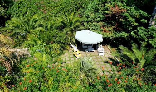 Trecase Cama Y Desayuno | B&B Il Giardino di Villa Anna