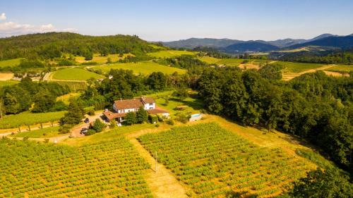 Gavi Casa | B&B Il Poggio di Gavi