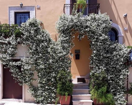Palo del Colle Cama Y Desayuno | B&B Il Principe