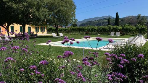 Domegliara Cama Y Desayuno | B&B CAMPAGNON VALPOLICELLA