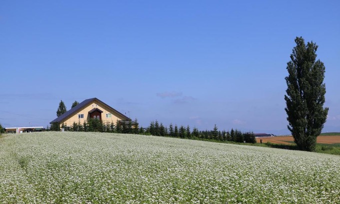 Biei Casa | B&B Ken&Mary