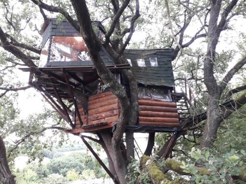 Mones Cama Y Desayuno | B&B La Cabane Insolite
