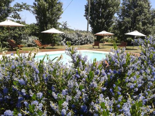 Loubens-Lauragais Cama Y Desayuno | B&B La Ferme de Loubens