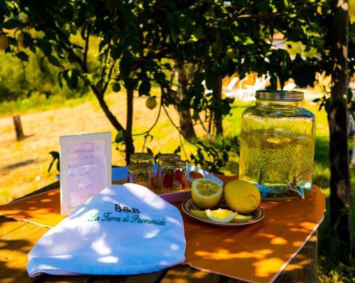 Ascea Cama Y Desayuno | B&B La Terra di Parmenide