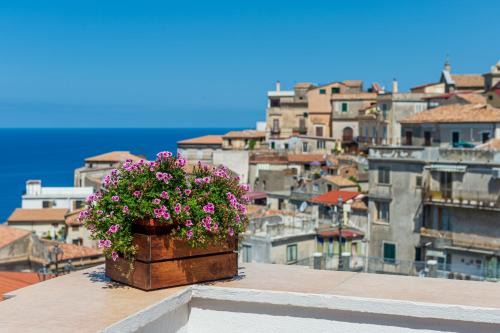 Cetraro Cama Y Desayuno | B&B La Terrazza