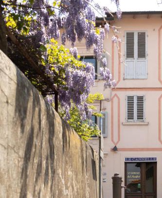 Fiesole Cama Y Desayuno | B&B Le Cannelle FIESOLE