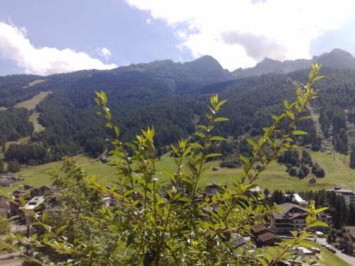 Aprica Cama Y Desayuno | B & B Le Riue