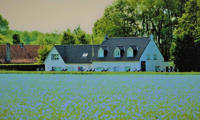 Kerkhove Cama Y Desayuno | B&B Maison Kerkhove