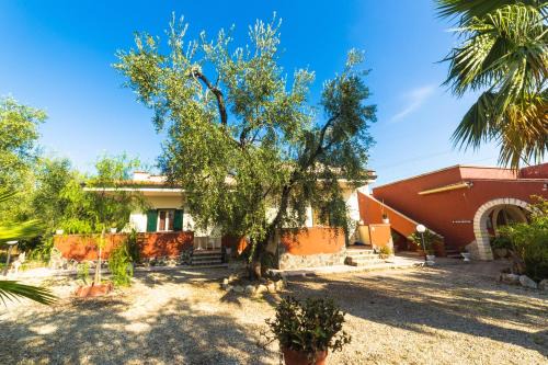 Mandrione Cama Y Desayuno | B&B Uliveto del Gargano