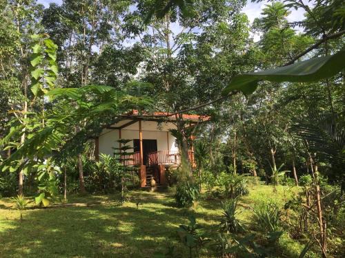 Ban Wang Hom Casa | Baansuan Suksangob Farm Stay