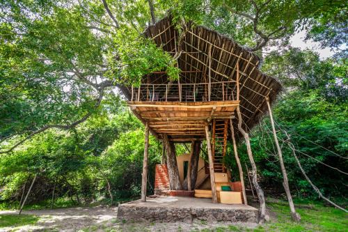 Dambulla Cabina | Back of Beyond - Wild Haven