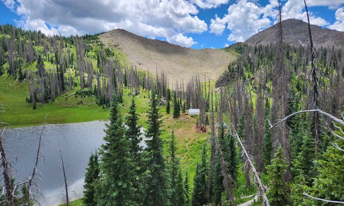 Bayfield Cabina | Backcountry Outfitters