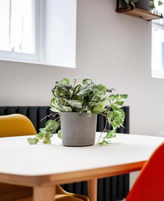 Bryanston and Dorset Square Apartamento | Baker Street Studio - 1