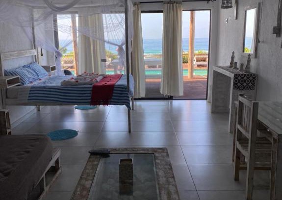Zitundo Casa | Baleia Azul 14