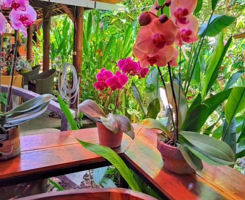 Sanur Complejo | Bali Kembali Hotel