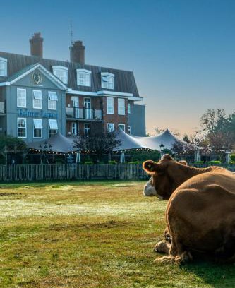 New Forest District Hotel | Balmer Lawn