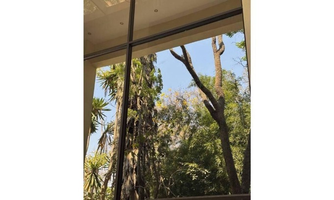 Harare Apartamento | Bamboo-view Breeze Nest