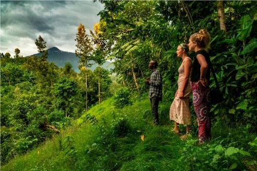 Nkoanrua Hostal | Banana Farm Eco Hostel