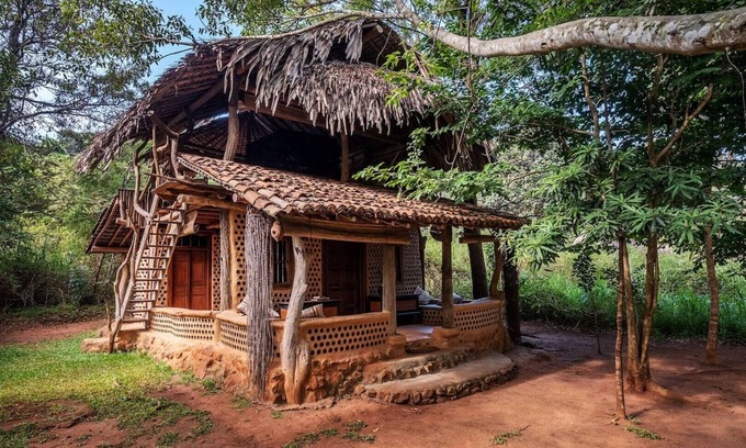 Hambegamuwa Casa | Banyan Camp para 4 personas (unidad 2)