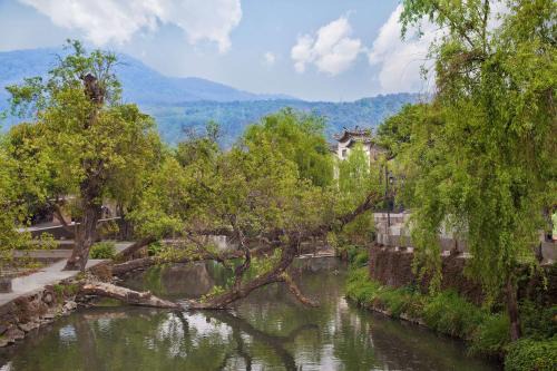 Tengchong Complejo | Banyan Tree Tengchong