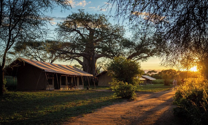 Tarangire National Park Alquiler De RV | Baobab Tented Camp