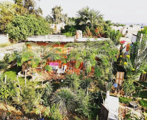 Yusuf as-Sidiq Casa | Barefoot by Barefoot in Tunis