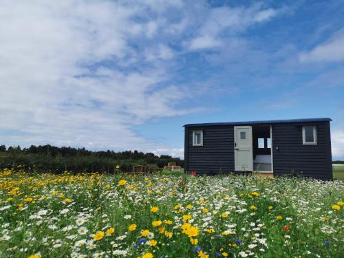 Snettisham Otro | Barley Shepherd Hut - Snettisham Meadows