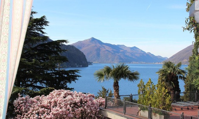 Castagnola Apartamento | Barony Olive mit Hund