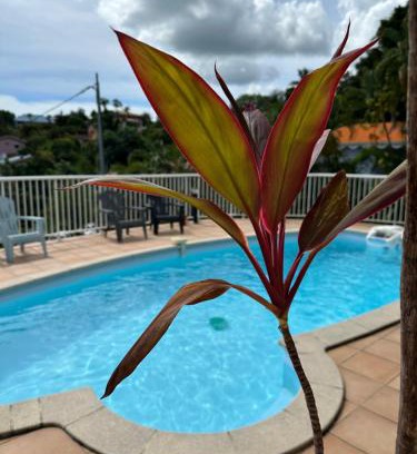 Schoelcher Casa | Bas de villa spacieux, proche plages et centre