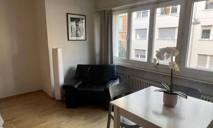 Vorstadte Apartamento | Basel Schweiz Apartment 302