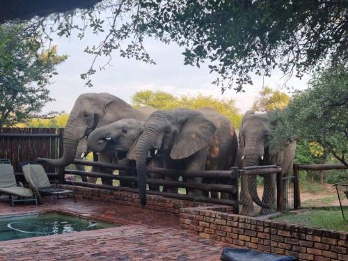 Bela-Bela Casa | Bateleur Lodge, Mabalingwe